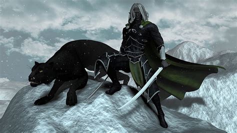 Drizzt Dourden And Guenhwyvar Hd Wallpaper Pxfuel