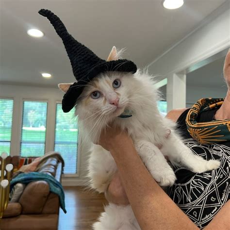 Cat Witch Hat Etsy