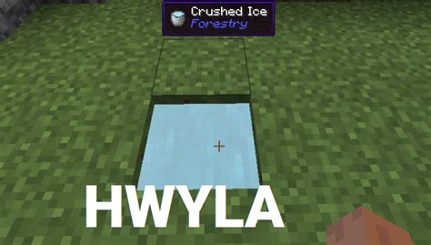Hwyla Mod 1.16.5/1.15.2 for Minecraft Yard Download