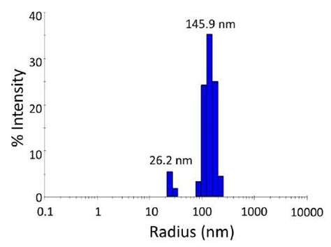 Challenges Of Nanoparticle Characterization