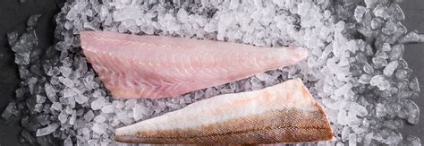 How To Fillet Gurnard And Prepare It Filleting Gurnard Guide