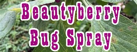 Beautyberry Bug Spray Happy Feet Hatchery