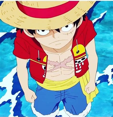 Pin De Adrielle Gvoic Em One Piece 8