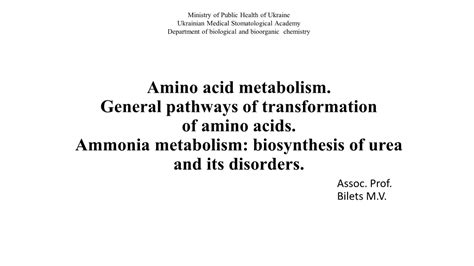 Amino Acid Metabolism General Pathways Of Transformation Of Amino