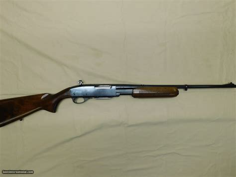 Remington 760, 257 Roberts