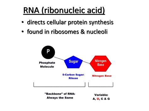 Biochemistry Ppt Download