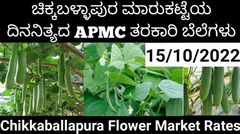 Chikkaballapura APMC Market Rate 15 Oct 2022 YouTube