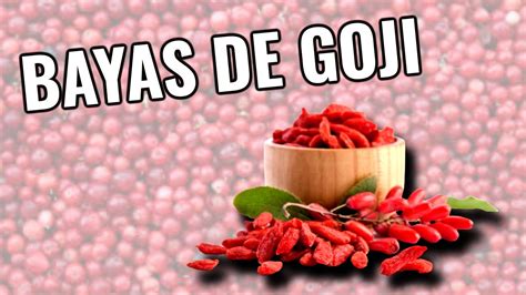 Descubre Los Asombrosos Beneficios Para La Salud De La Goji Berry Los