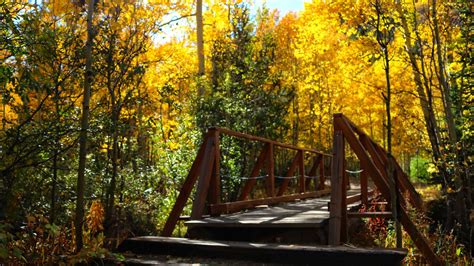 Colorado fall colors: When and where leaves will peak in 2020 | 9news.com