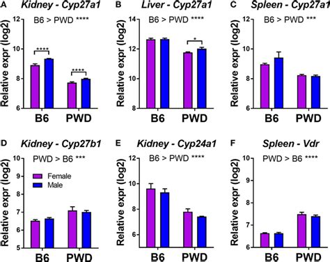 Frontiers Sex Specific Gene By Vitamin D Interactions Regulate Susceptibility To Central