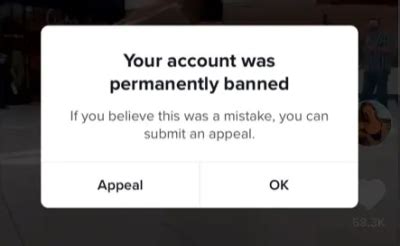 Unbanned TikTok Account How To Get Your Banned Account Back