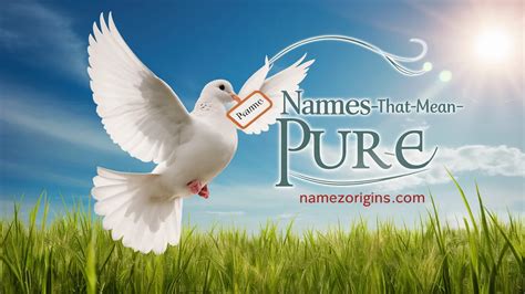 🕊️ 101 Beautiful Names That Represent Purity And Innocence