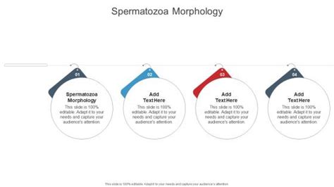 Spermatozoa Morphology Powerpoint Templates Slides And Graphics