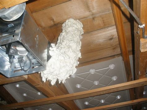 How To Remove Mold From Drywall Ceiling Shelly Lighting