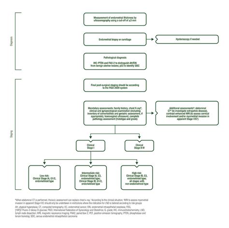 Endometrial Cancer Algorithms