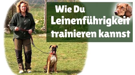 Leinenf Hrigkeit Hilfe Mein Hund Zieht An Der Leine