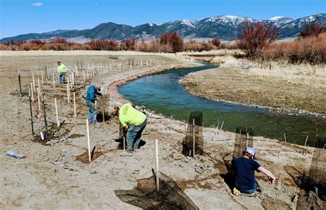 Streambank Restoration Flickr