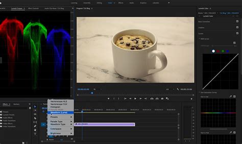 How to Use Lumetri Scopes and Curves in Premiere Pro — Wild Flour Media