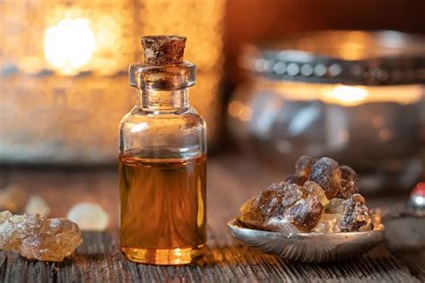 Frankincense Oil The King Of Essential Oils Purodem