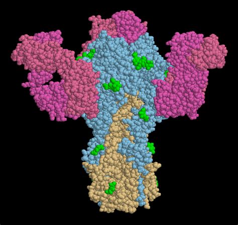 Pdb Molecule Of The Month