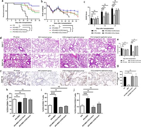 Application Of Ccr Ccl Antagonists Impair The Prophylactic Effect Of