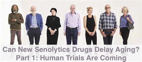 Can New Senolytics Drugs Delay Aging? Part 1: Human Trials Are Coming - GoH