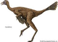 Oviraptorosauria | dinosaur group | Britannica.com