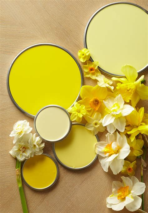 Yellow Paint Colors For Living Room Baci Living Room