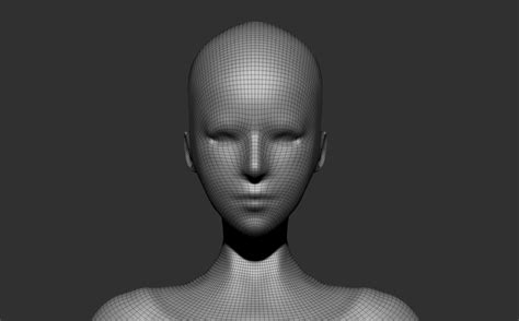 Female Body Basemesh 3d Model Cgtrader