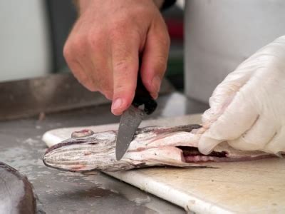 Pesca Da Sardinha Reabre Quinta Feira Mas Limites