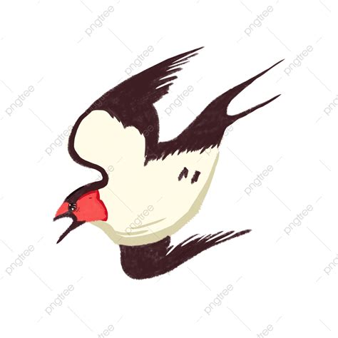 Flying Birds PNG Transparent Bird Flying Illustration Elements Bird