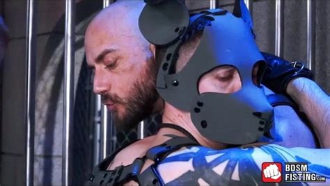 Submissive Bitch In A Mask Dominated And Pounded Anally English Gay Bdsm Porn Xhamster