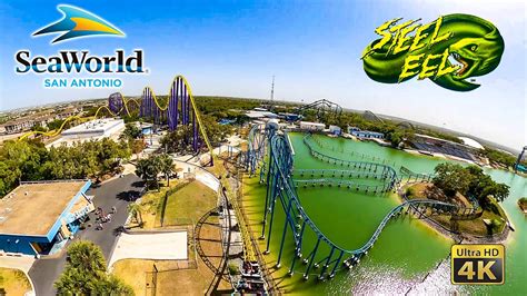 2022 Steel Eel Roller Coaster On Ride 4K POV SeaWorld San Antonio YouTube