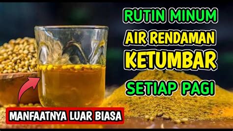 Manfaat Minum Air Rebusan Ketumbar Yang Jarang Diketahui Youtube