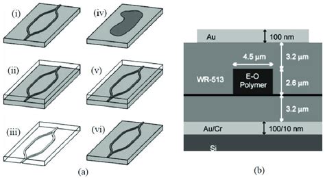 A Fabrication Of The Pdms Mold I Iii And Replication Of The Mzi