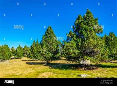 Mountain Border Of Andorra Hi Res Stock Photography And Images Alamy