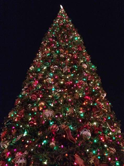 spotted cute christmas stuff petite haus