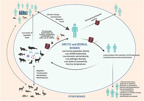 Zoonosis Ppt