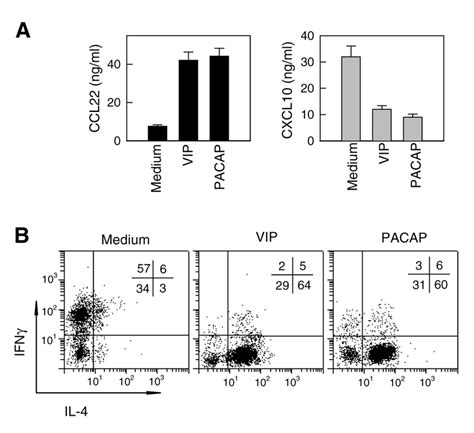 Vip And Pacap Treated Dc Preferentially Attract Th2 Cells In Vivo Download Scientific Diagram