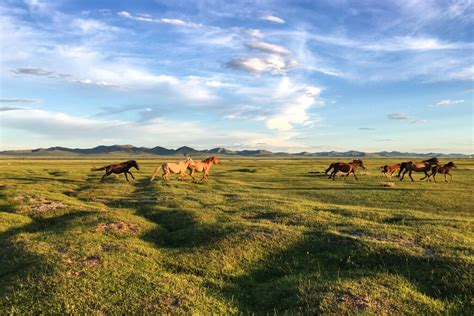 Semaine En Mongolie Id Es D Itin Raires Uniques Fl Vacances