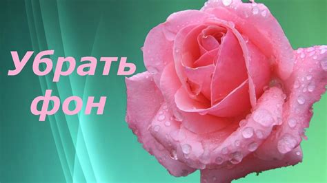 Убрать фон. Как сделать прозрачным фон картинки онлайн. Легкий вариант ...