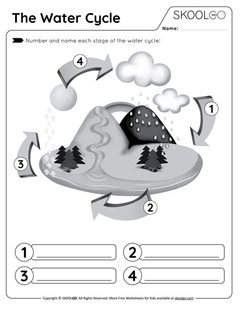 The Water Cycle Free Worksheet Skoolgo