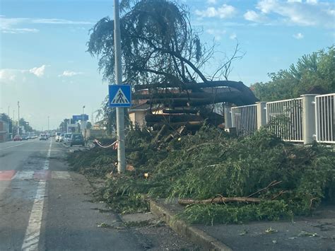 Violenti Temporali Su Tutto Il Vercellese Si Registrano Danni