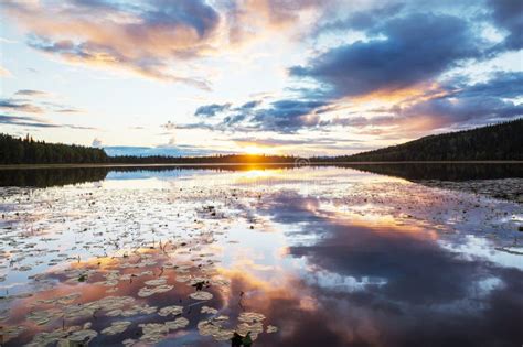 Lake On Sunset Stock Image Image Of Lake Silhouette 275205845