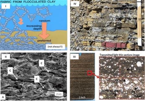 Vti In Woodford Shale Samples At Different Scales Download