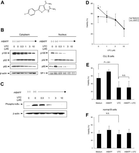 Blocking The Canonical Nf B Pathway With Ikk Inhibitor A Chemical