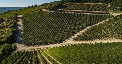 The 23 Best Wineries In Chianti - A Local Guide To Tuscany - All Roads Lead To Italy