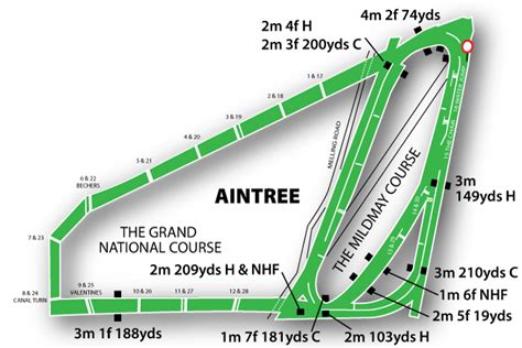 Aintree Racecourse: Horse Racing Tips