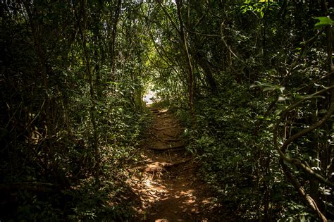 Secret Waterfall on Behance