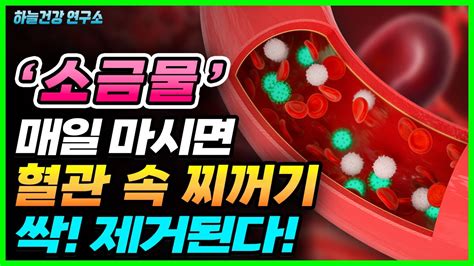 소금물 매일 마시면 꽉 막힌 혈관 깨끗하게 청소해준다 소금 오해와 진실 Youtube